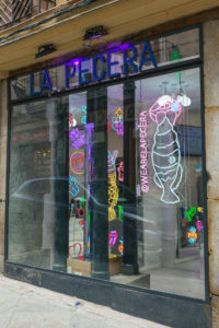 La Pecera local Cadiz 10 5 - La Pecera abre una segunda heladería de taiyakis en Madrid