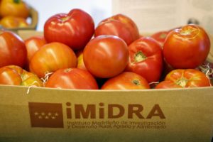 Semana del Tomate Madrid